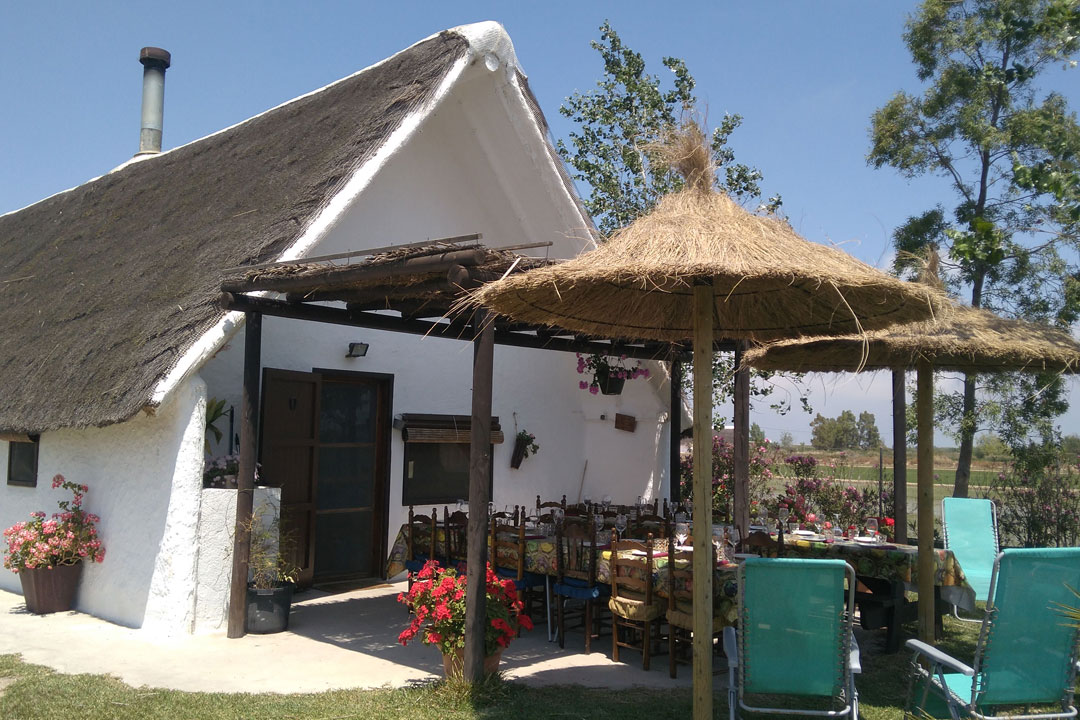 borro-i-artesania-construccio-para-sol-barraca Borro i Artesania Barraca i Para-sol