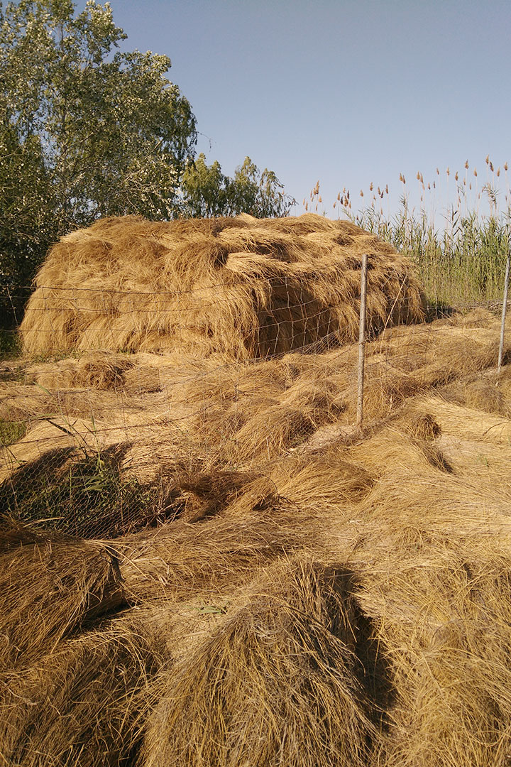 borro-i-artesania-el-borro