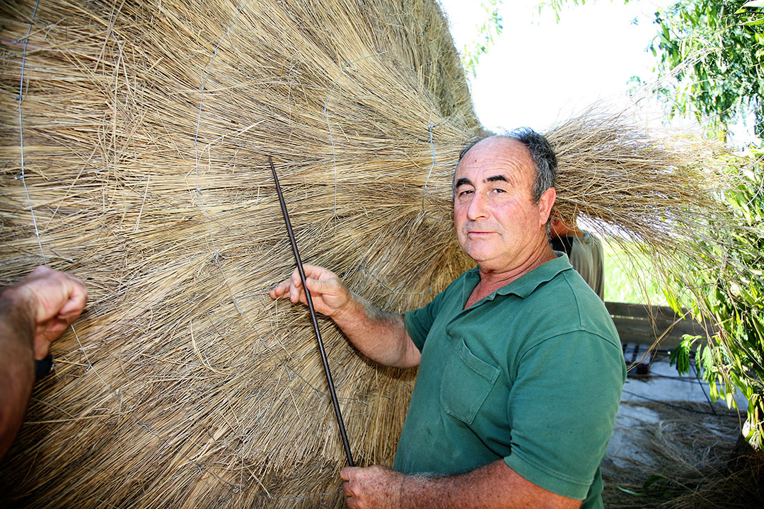borro-i-artesania-salvador borro-i-artesania-salvador-gomez